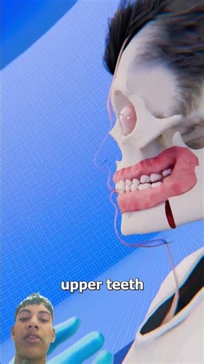 How Underbite Surgery Works