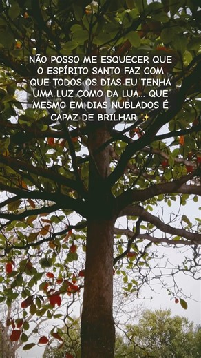 A luz do Espírito Santo 🙏 #viralizar #fe #fé #amor #deus