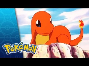 Charmander Joins Ash's Team | Pokémon: Indigo League
