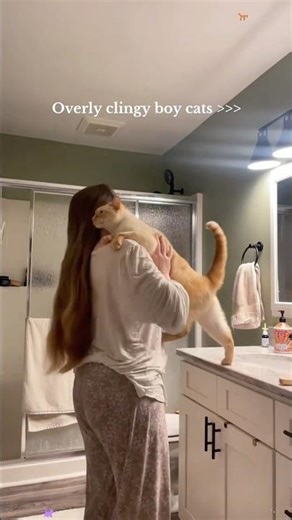 Do cats choose their human??