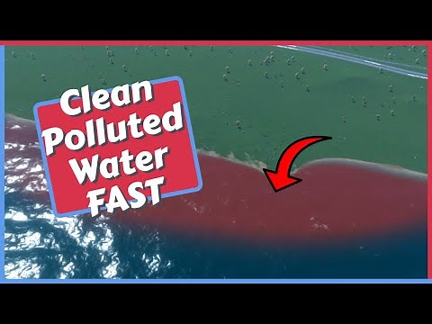 How to Clean Polluted Water FAST in Cities Skylines 2