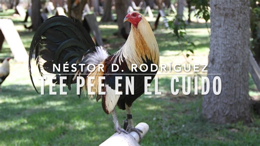 Tee pee en el cuido, Néstor D. Rodríguez, pastor de Jiquilpan, Pie de Cría oficial | Pie de Cría oficial