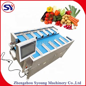 [Hot Item] Electronic Check Weigher Combination Weigh Filler Machine