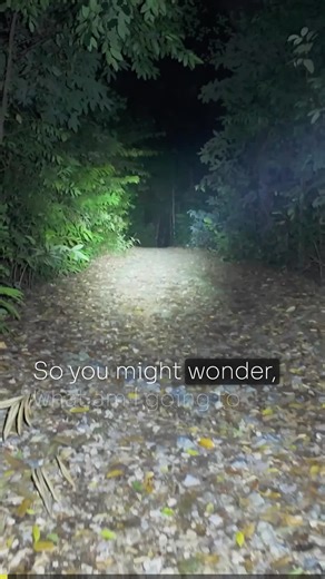 Most people think more lumens always equals better, but real use tells a different story. 90% of applications need 250-1,000 lumens. For context, car high beams are only around 2,000 lumens. The EDC 37 gives you: Normal operation at 400-1,000 lumens for daily tasks 3,000-lumen search mode for distance (420m throw) 8,000-lumen turbo for those rare emergency moments Like having a car that can hit 200 mph—you're glad it's there, but you drive 65 mph to work. | Nitecore Lights