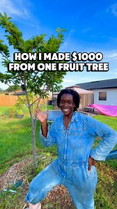 277K views · 18K reactions | This branch is worth more than my phone…...