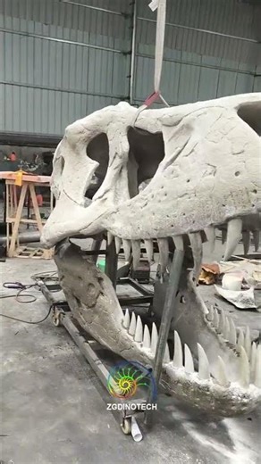 Custom-Made #TrexHead Fossil Replica, #DinosaurSkull for Natural Museum