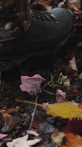 With the rut in full swing it's a perfect time to use rigid mock scrape rope. #heatedhunts #whitetail #hunting #deerhunting #deer #bowhunting #archery #outdoors #whitetaildeer #deerseason #hunt #whitetailhunting #huntingseason #bigbuck #whatgetsyououtdoors #buck #hunter #bowhunter #wildlife #huntinglife #bigbucks #nature #whitetailbuck #bowandarrow #turkeyhunting #trailcamera #trailcam #bowseason #whitetails #deerhunter | Heated Hunts