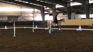 2.9K views · 48 reactions | Cowboy Dressage at FarWest Free Style with Patti White | Cowboy Dressage | Facebook