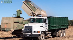 Green Thumb Farms Bean Production.