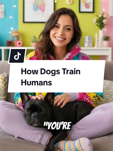 How Dogs Train Humans #spoileddog #dogfacts #dogbehavior #dogsoftiktok #smartdog