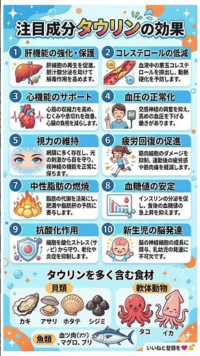 【万能成分】タウリンの驚くべき10大効果を徹底解説！肝機能強化・疲労回復からダイエットまで｜カキやタコに隠された「天然のリソース」で体を劇的に変える方法