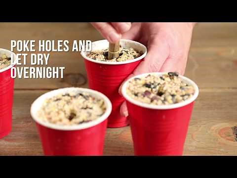 How to Make a Birdseed Cake | Bird Feeders & Backyard | Garden Gate Magazine