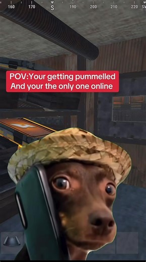 Hanaki 2X | Vanilla | 4man | Launches 19.02.2026 | https://discord.gg/hanaki2x