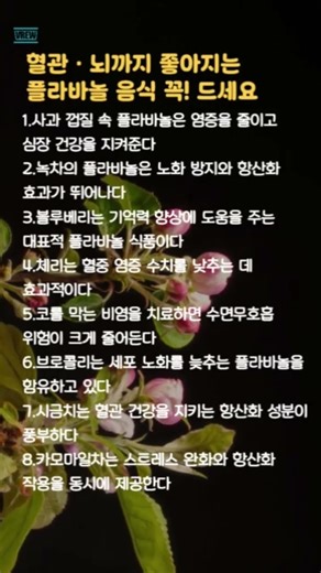 혈관·뇌까지 좋아지는 플라바놀 음식ㅣ#플라바놀 #항산화음식 #슈퍼푸드 #건강음식 #혈관건강 #심장건강 #뇌건강 #중년건강 #노화방지 #건강정보 #건강관리 #쇼츠추천 #shorts