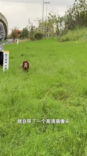 夸克AI眼镜S1【千问AI助手】双目显示无限续航拍摄录像翻译提词器蓝牙耳机AR阿里智能眼镜 威灵顿方框 曜黑 超级续航套装（配换电仓+电池） Conant高