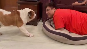 1.6M views · 58K reactions | The hilarious conversation between #RamKapoor and his dog #Popeye.  #doglove #doglovers #animallover | Glamworldtalks | Facebook