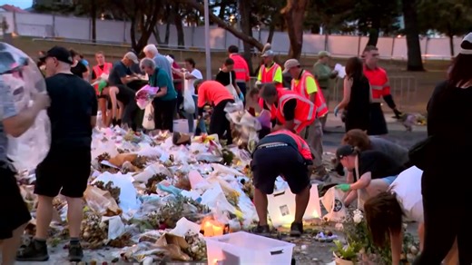 31K views · 384 reactions | WARNING: GRAPHIC CONTENT Australian police say homemade pipe and tennis ball bombs were thrown at a crowd before last week’s mass shooting at Bondi Beach, but they failed to detonate https://reut.rs/4pXFArq | Reuters | Facebook