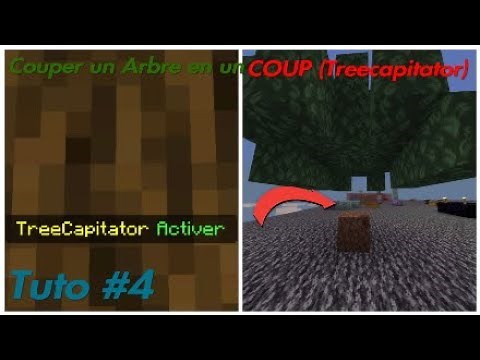 Couper un Arbre en un COUP (Treecapitator)/ Tuto #4/ Minecraft Bedrock Édition/