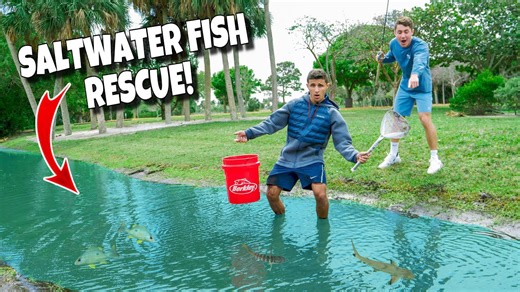 RESCUEING Trapped FISH In A PUDDLE!!