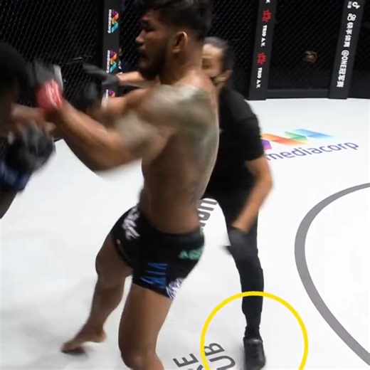 Chaos in the circle 🤯 Who should "The Burmese Python" take on next? | ONE Championship