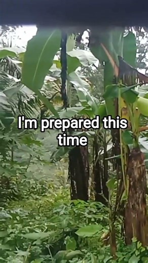 Natural Disasters Survival in real life