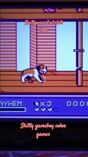 shitty gameboy color games beethovens 2nd #gameboy #retrogaming