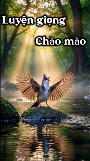 Chào Mào Hót ! Công Thức Thúc Mồi Giúp Chào Mào Vực Lửa Đỉnh Cao Trong 2 Tuần