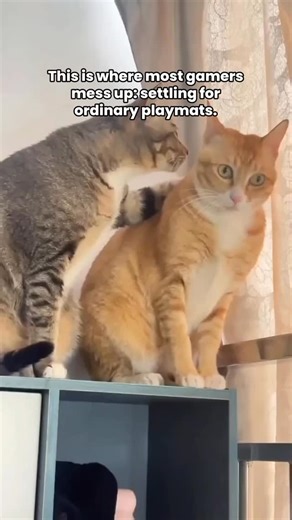 Game Over Graphics and Printing on Reels