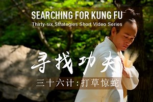 36 Strategies: Beat the Grass to Startle the Snake