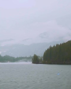 85K views · 548 reactions | Imaginez ceci : une excursion en famille,...