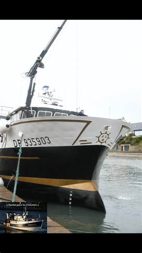 Colt Seavers on Reels