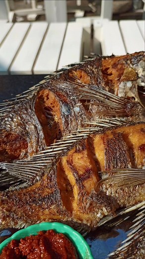 location:piasa fiker hayke ategeb(faya restorat) ዋጋ ትልቁ አሳ 125 ቡር። ዋጋ ትንሱ አሳ 100 ቡር። #hawassa #ethiopian_tik_tok #foodreview #hawassauniversty #hawassagebeta #hophawassa #habshatiktok🇪🇹ሀበሻethiopia #hawassaphoto #hotel #hawassahotel #fyp