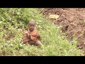 Rwanda: Back to the Garden