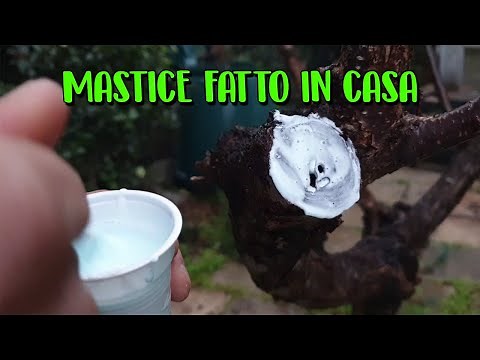 DIY MASTIC FOR CUTS AND GRAFTS