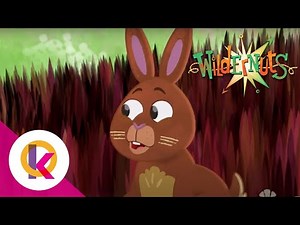 🌰 Wildernuts - Just My Luck | S1 E23 | Kids Learning | Educational Cartoon | Cartoon | Kids Cartoon