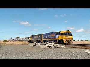6MP4 Pacific National TOLL Container Train With Diesel Locomotives NR37 & NR54 (31/1/2025)- PoathTV
