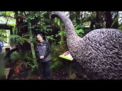 Extinct bird Moa New Zealand