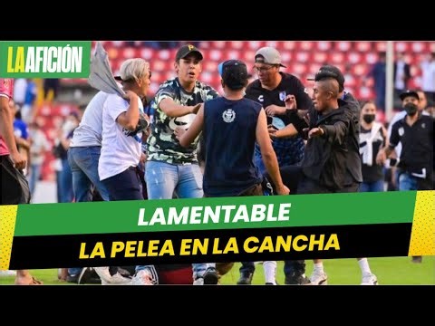 Así fue la pelea en la cancha del Querétaro vs Atlas