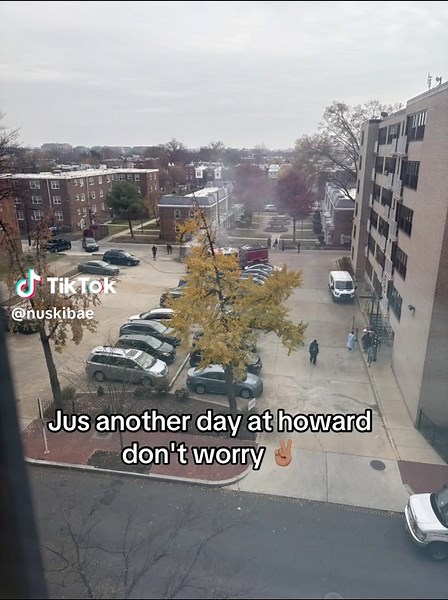 Living Next to Projects: A Freshman College Experience