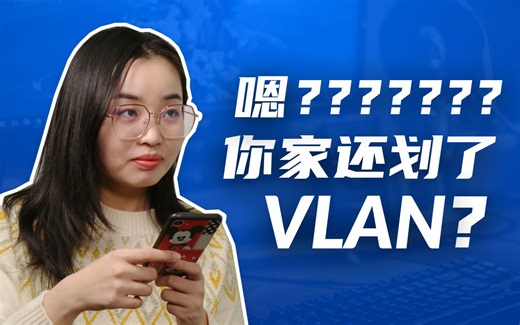 家庭组网需不需要划分 VLAN? 如何解决智能家居联网问题？4 分钟让 VLAN 教程让你彻底搞懂。
