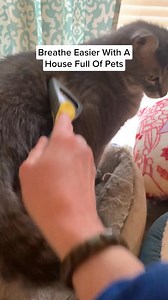 Breathe easy with the Ionic Comfort Quadra® Air Purifier. Its advanced ionic technology removes airborne dust, allergens, and even ultra-fine particles that traditional HEPA filters can miss. Enjoy cleaner, fresher air in your home. Click now to experience the difference! | SharperImage.com | Facebook