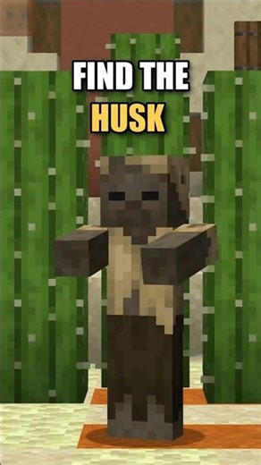 Find The HUSK in 5 Seconds! 🔍 | Minecraft