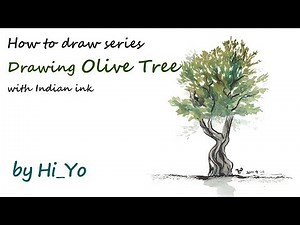 Olive tree drawing