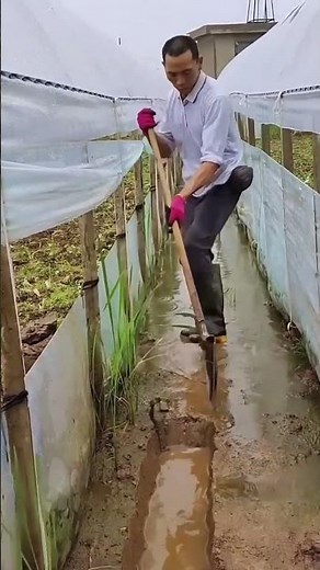 Process of digging ditches in the vegetable garden