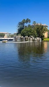 8.7K views · 278 reactions | Happy Earth Day! | Sheraton Vistana Villages | Facebook