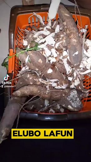 DANELAS FOOD BANK on TikTok