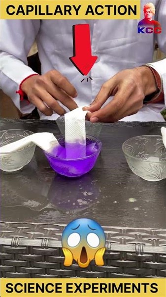 capillary rise class 11 physics || #experiment #science #physics #scienceexperiment