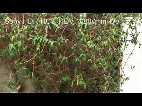SONY HDR-HC3 Handycam HDV 1080i / mini DV. Videotest.