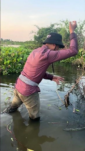 Brilliant Fishing Technique: Catching Fish Like a Pro in Seconds!