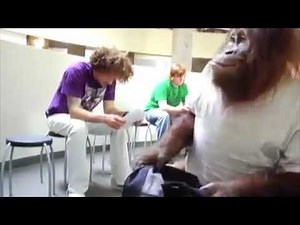 Monkey Acting Like Human